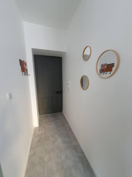 Roanne Centre, Appartement Refait A Neuf. 외부 사진